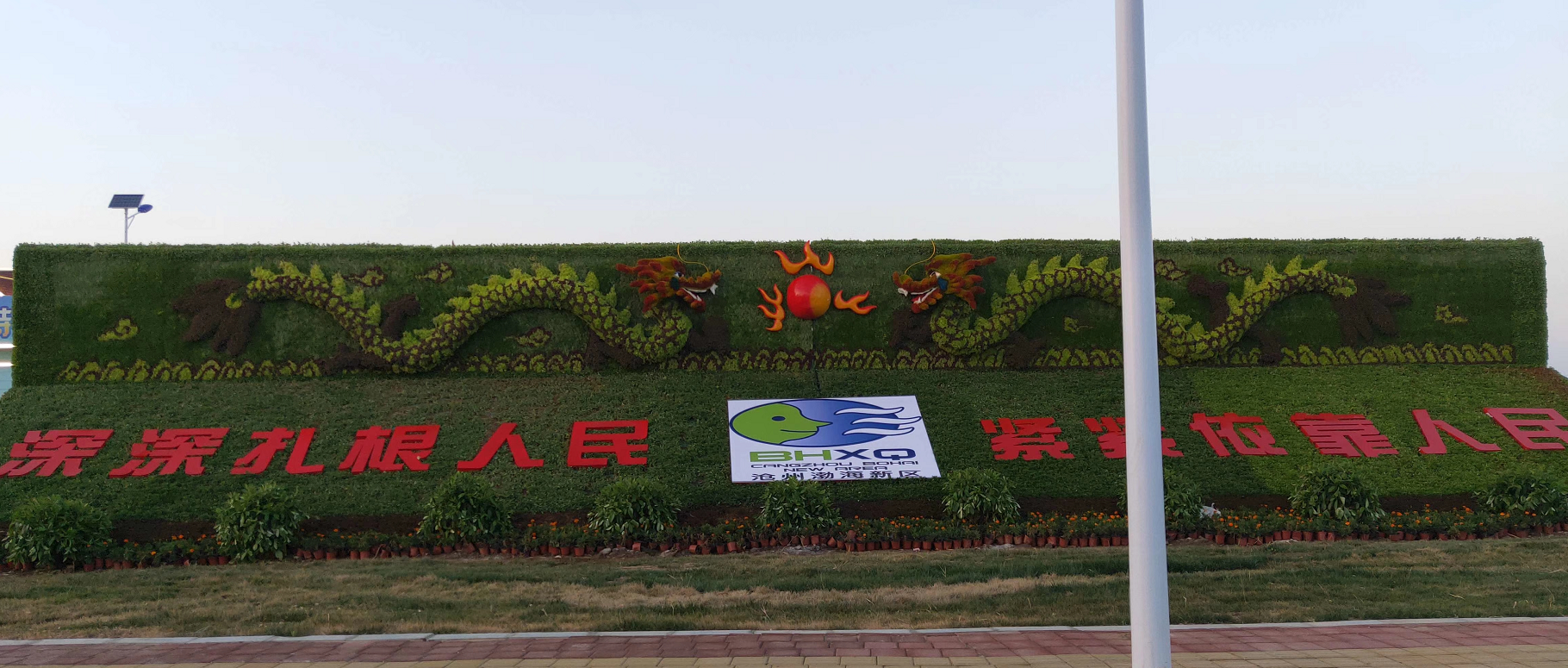 五色草造型设计