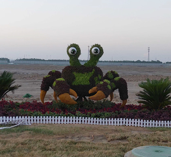 海北五色草动物造型