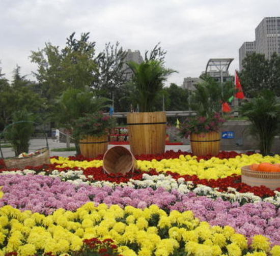赤峰城市菊展设计