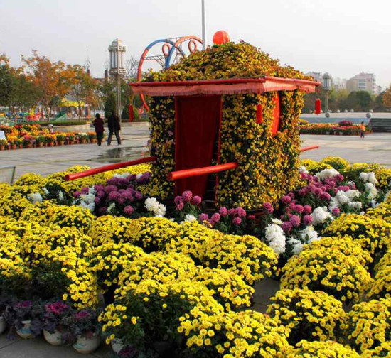 北京专业五色草植物造型施工