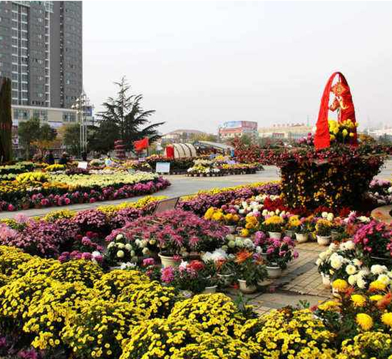 北京专业五色草景观雕塑制作