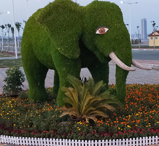 商丘专业五色草植物造型制作