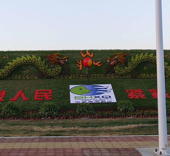 南京专业五色草造型施工