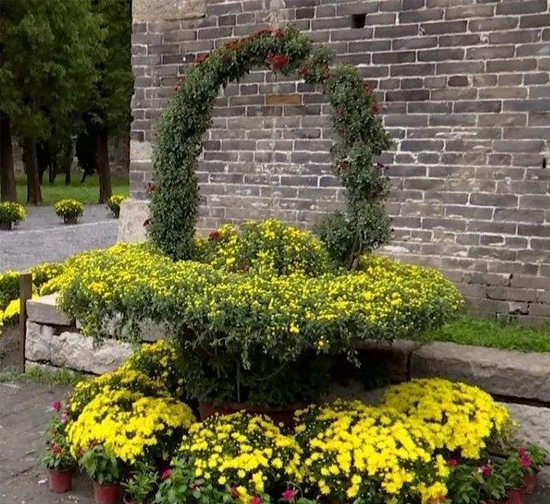 菊花造型设计