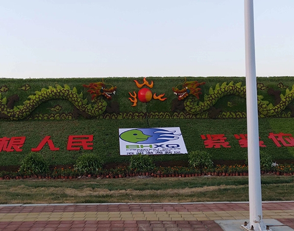 城市环境五色草造型施工