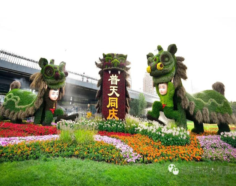 南京五色草造型